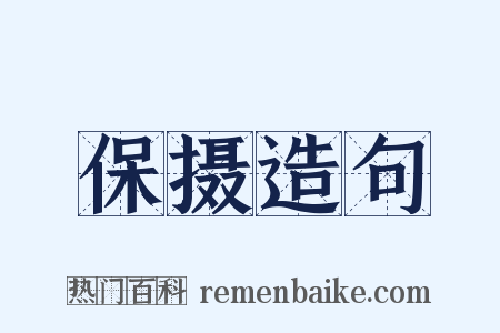 保摄造句是什么意思的图片